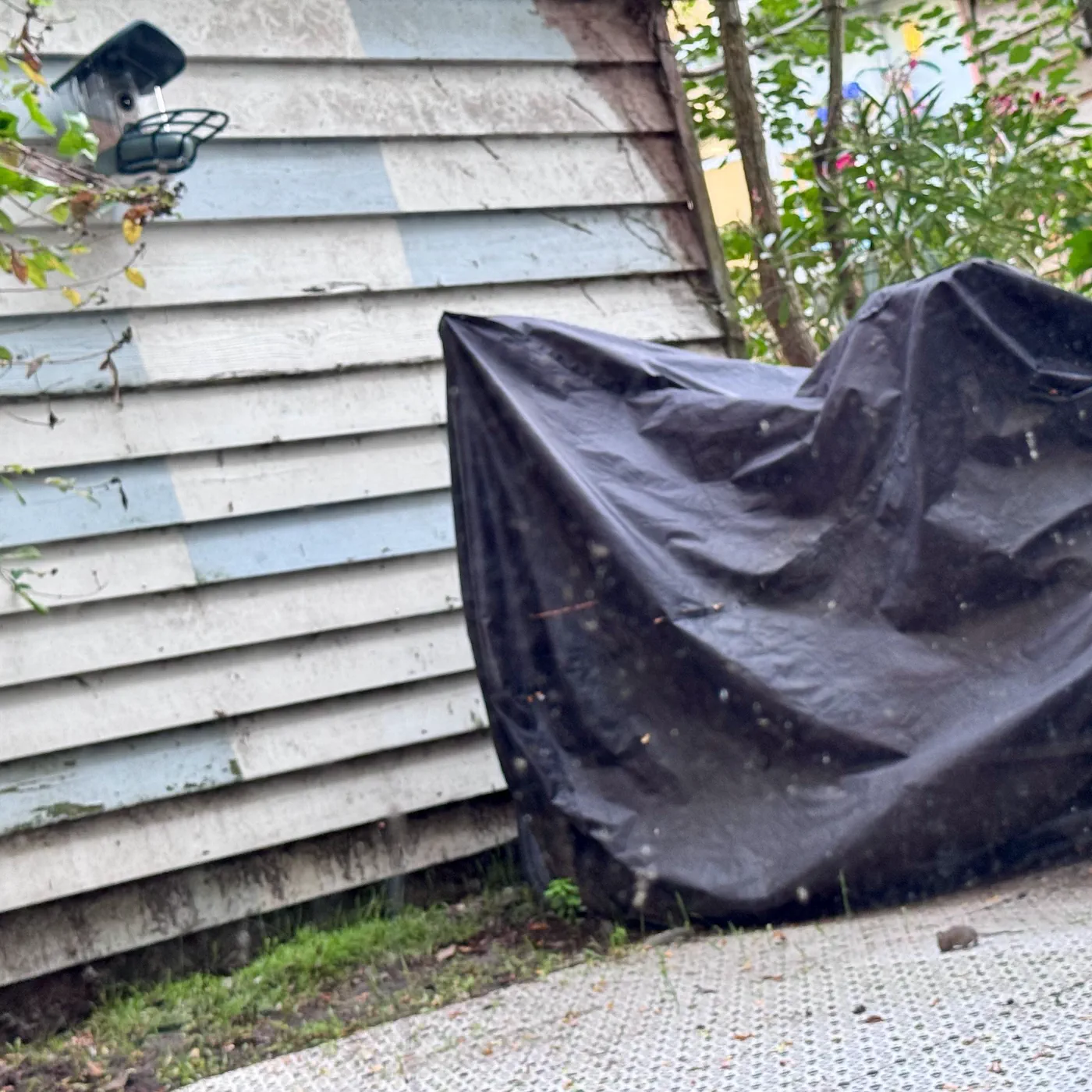 Why an AI Bird Feeder Turned Backyard Nature Watching Into a Pest Nightmare